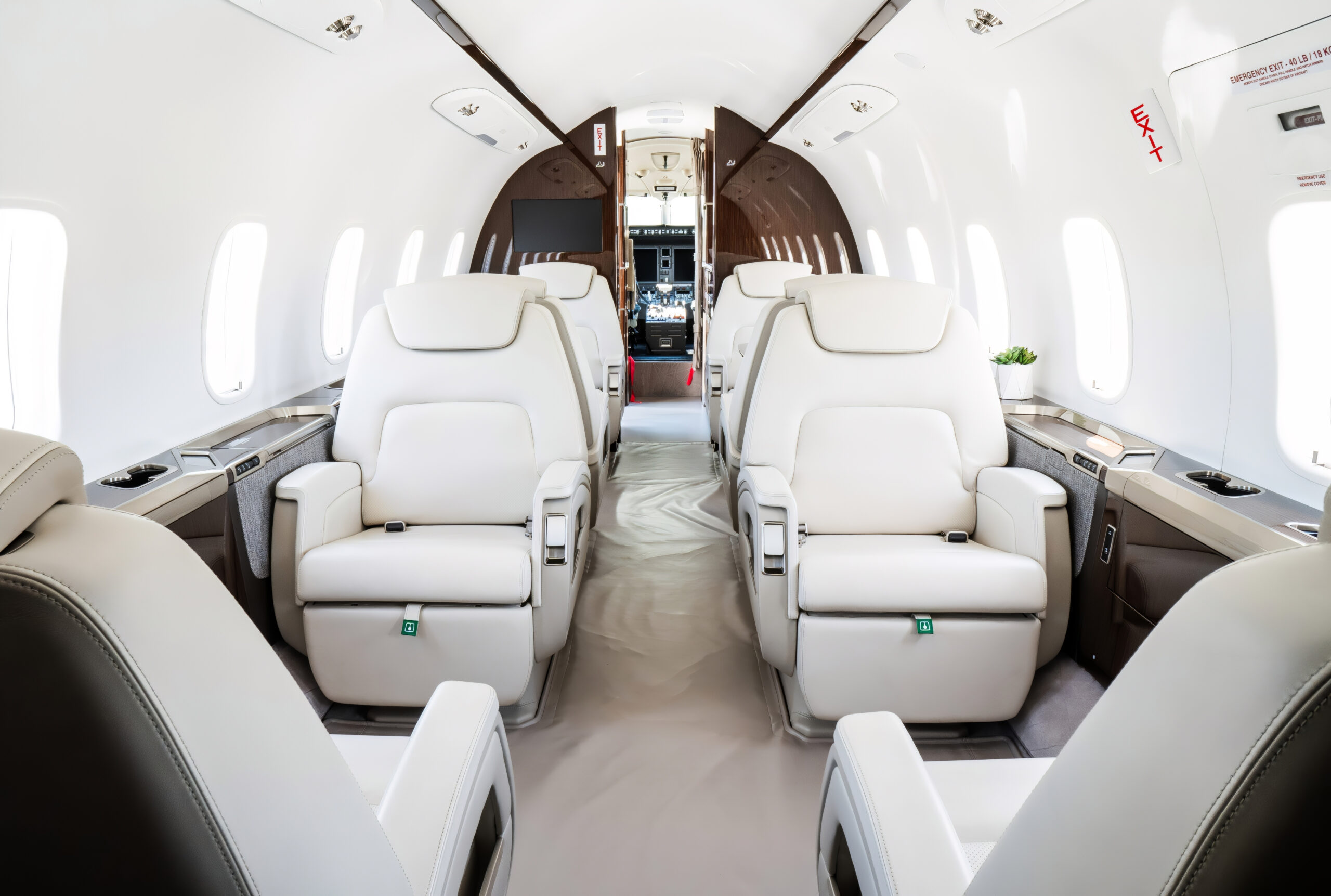 Challenger 350 Charter Flight Interior Back