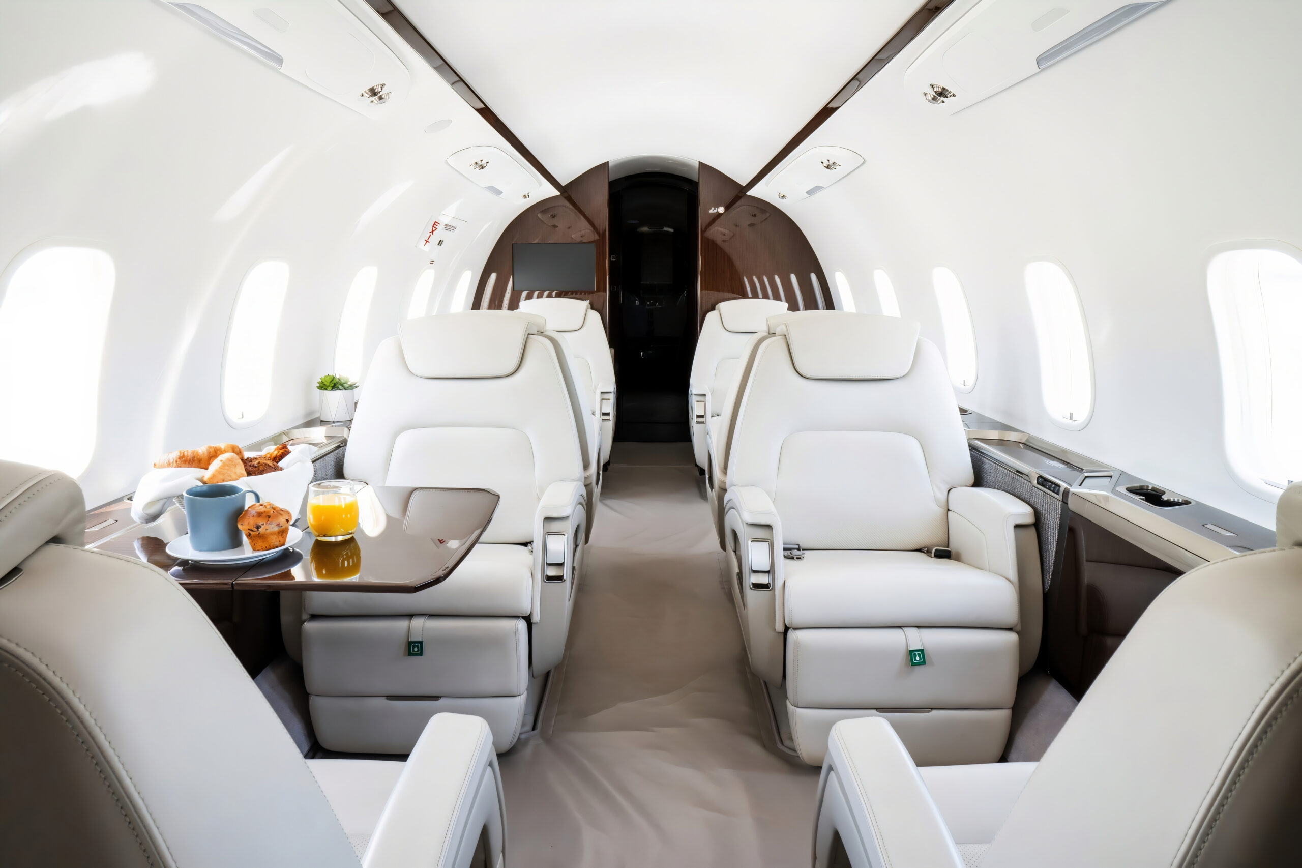 Challenger 350 Charter Flight