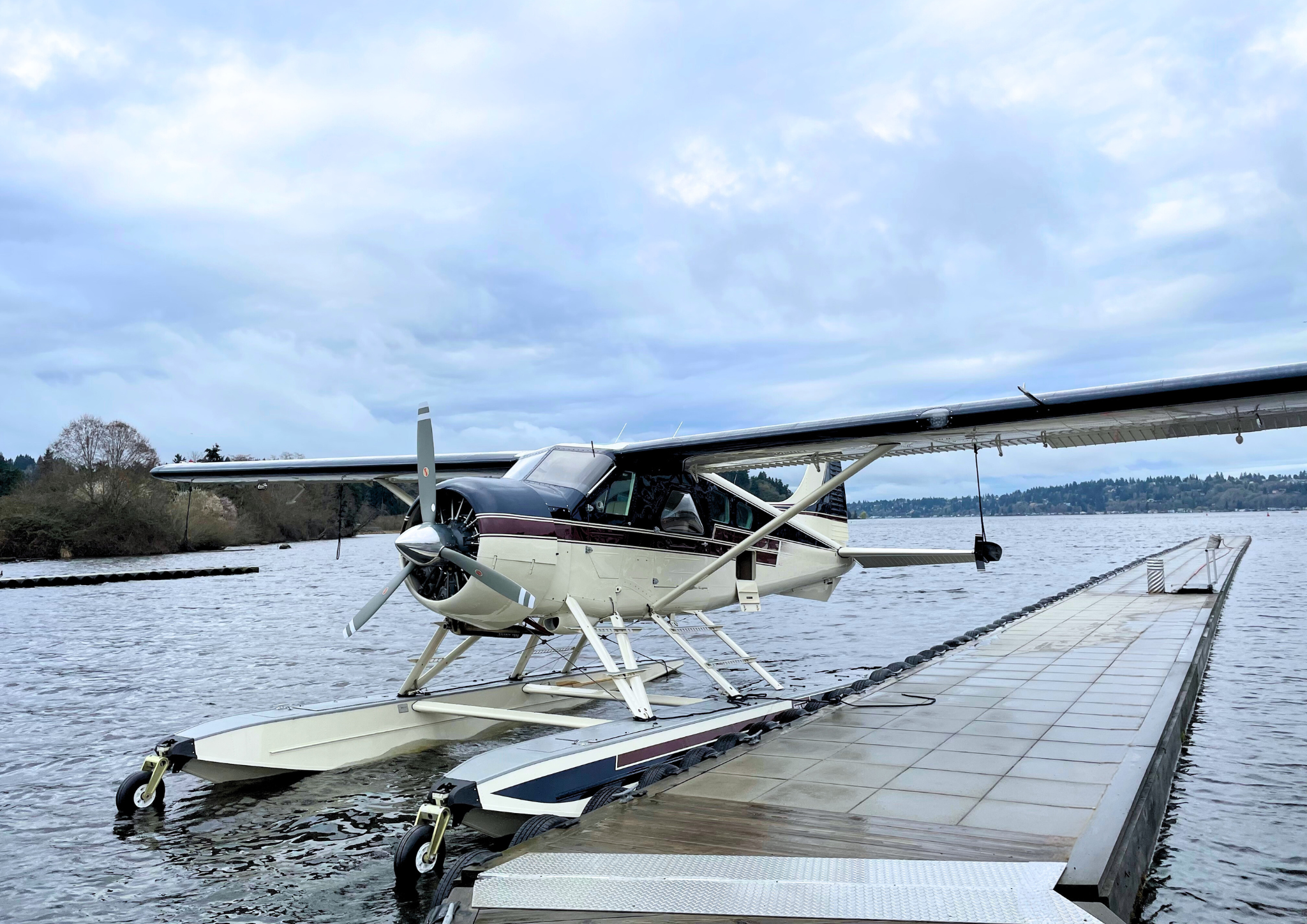 de Havilland DHC-2 Beaver - Exterior